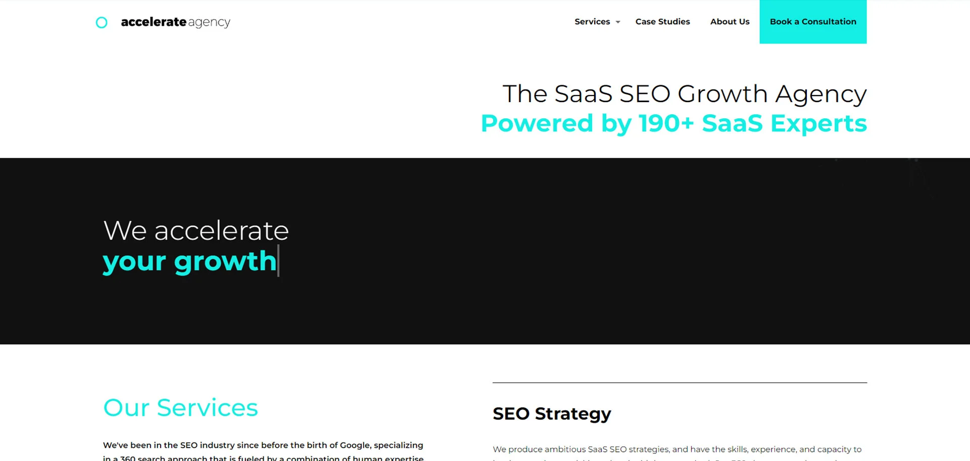 b2b SaaS marketing